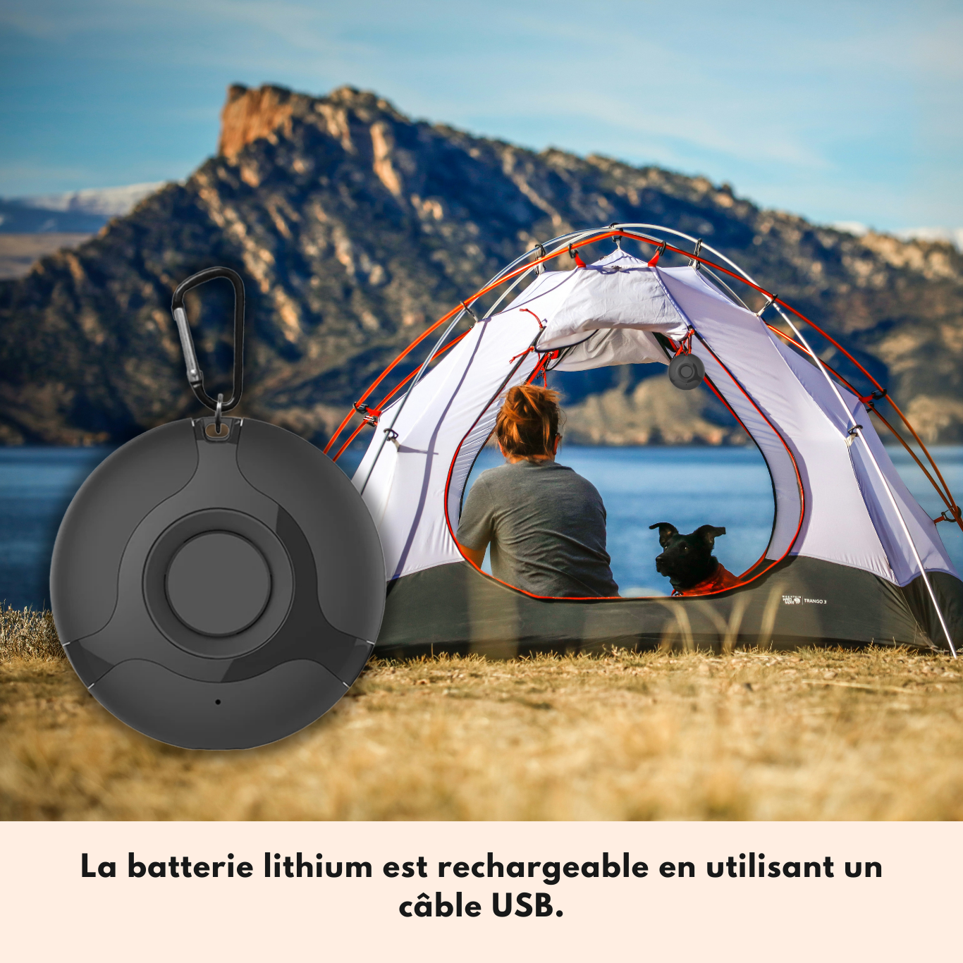 Répulsif anti-moustiques de Voyage