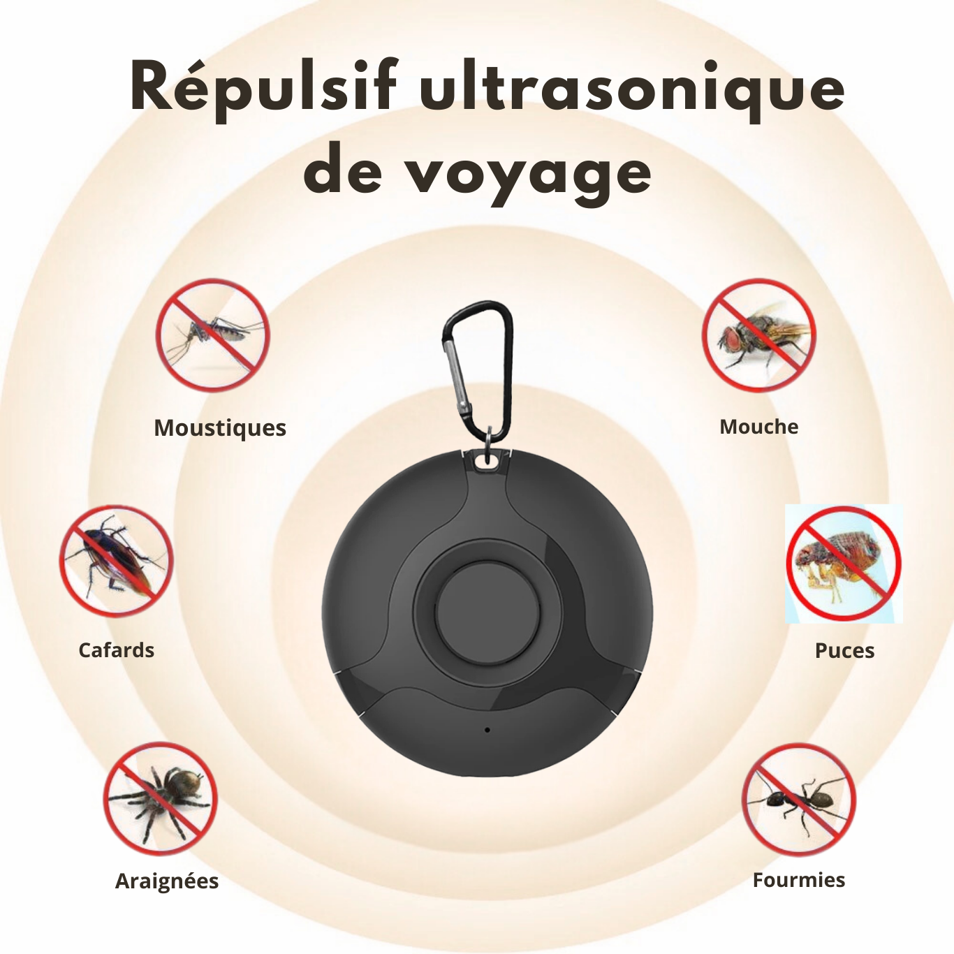 Répulsif anti moustiques de Voyage